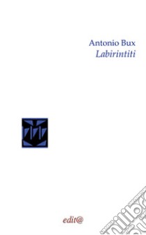 Labirintiti libro di Bux Antonio