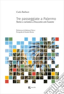 Tre passeggiate a Palermo. Storie e curiosità a braccetto con l'autore libro di Barbieri Carlo