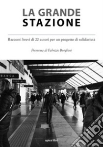 La grande stazione. Racconti brevi di 22 autori per un progetto di solidarietà libro