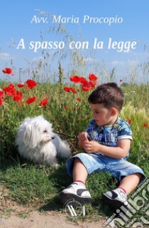 A spasso con la legge libro di Procopio Maria