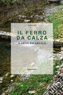 Il ferro da calza libro di Salabelle Marisa