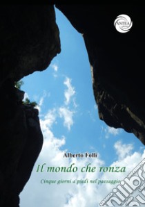 Il mondo che ronza. Cinque giorni a piedi nel paesaggio libro di Folli Alberto