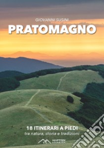 Pratomagno. 18 itinerari a piedi tra natura, storia e tradizioni libro di Susini Giovanni