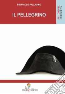 Il pellegrino libro di Palladino Pierpaolo