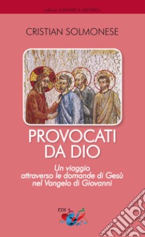 Provocati da Dio. Un viaggio attraverso le domande di Gesù nel Vangelo di Giovanni libro di Solmonese Cristian