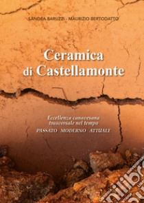 Ceramica di Castellamonte. Eccellenza canavesana trasversale nel tempo. Passato. Moderno. Futuro libro di Baruzzi Sandra; Bertodatto Maurizio