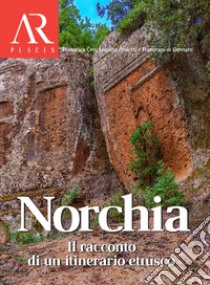 Norchia. Il racconto di un itinerario etrusco libro di Ceci Francesca; Proietti Luciano; Di Gennaro Francesco