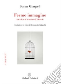 Fermo immagine. «Inezie» e «Il sorriso di Howie» libro di Glaspell Susan