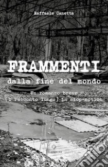 Frammenti dalla fine del mondo. Un romanzo breve (o racconto lungo) in stop-motion libro di Canetta Raffaele