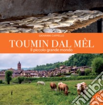 Toumin dal Mêl. Il piccolo grande mondo libro di Cappello Giovanni