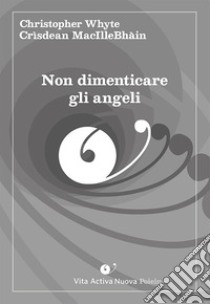 Non dimenticare gli angeli. Ediz. italiana e irlandese libro di Whyte Christopher