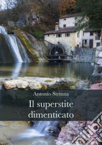 Il superstite dimenticato libro di Strinna Antonio