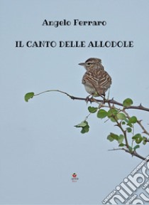 Il canto delle allodole libro di Ferraro Angelo