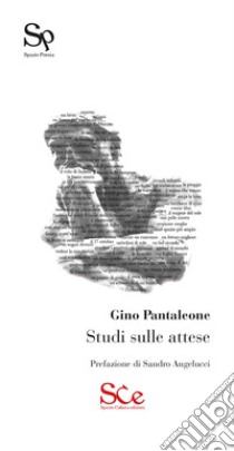 Studi sulle attese, Gino Pantaleone