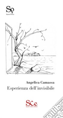 Esperienza dell'invisibile libro di Camassa Angelica