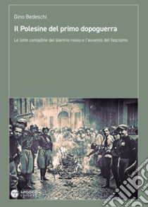 Il Polesine del primo dopoguerra. Le lotte contadine del biennio rosso e l'avvento del fascismo libro di Bedeschi Gino