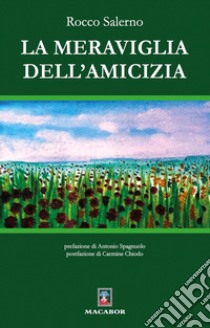 La meraviglia dell'amicizia libro di Salerno Rocco