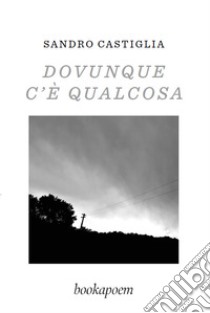 Dovunque c'è qualcosa libro di Castiglia Sandro