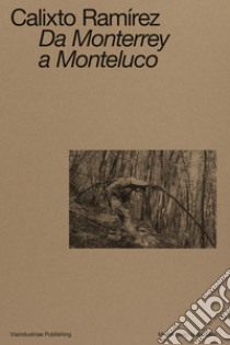 Calixto Ramírez. Da Monterrey a Monteluco. Catalogo della mostra (Spoleto, 11 novembre 2023-11 marzo 2024). Ediz. bilingue libro di Verini S. (cur.)